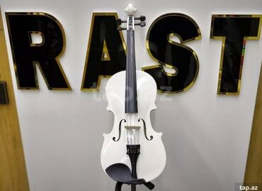 Skripkalar: Skiripka purple 4/4 Akustik skiripka Rast musiqi alətləri mağazalar