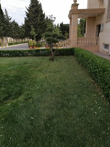 Bağbanlar: Salam aleykum Adim Sahib 43yaşim var Bakıda yaşayiram Baki etrafi — 20