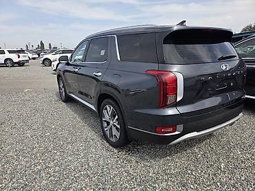 керамическое покрытие: Hyundai Palisade: 2019 г., 2.2 л, Автомат, Дизель, Кроссовер — 3
