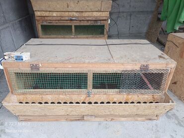 Товары и оборудование для с/х животных: Брудер/клетка для молодняка птицы - Материал: каркас и стены из OSB — 10