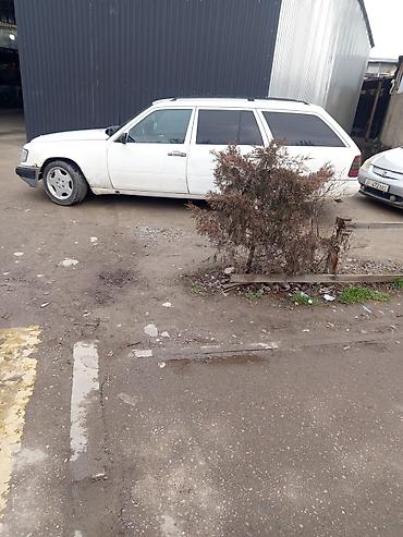 bud e9: Mercedes-Benz W124: 1992 г., 2.3 л, Механика, Бензин, Универсал — 2