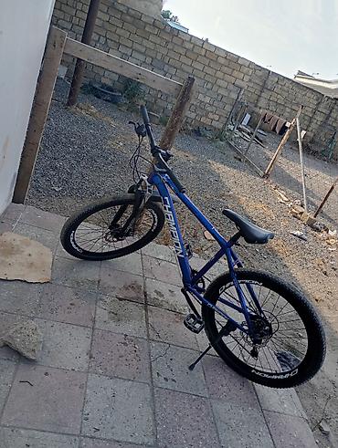 velosiped olculeri: Champion markalı velosiped. Mavi rəngli çərçivəyə malikdir və — 2