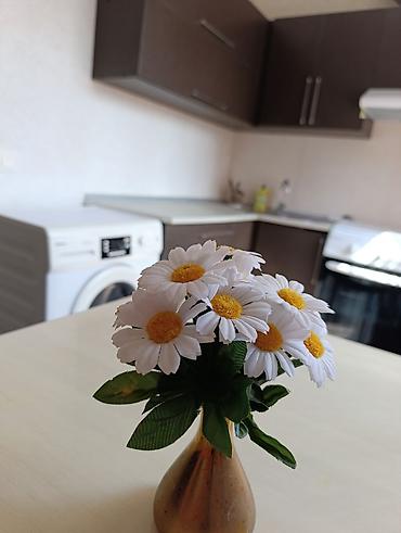 105: 1 комната, 35 м², 10 мкр 105 серия, 5 этаж, Свежий ремонт — 3