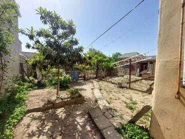 Bağ evlərinin satışı: Bakı, 150 kv. m, 7 otaqlı, İnternet, Telefon, Su — 8
