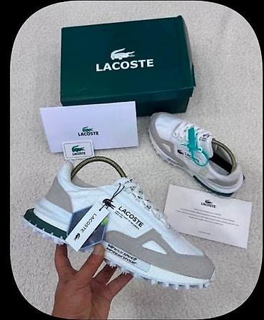 10. Turske lacoste od 36 do 44 5800din🌸🌸