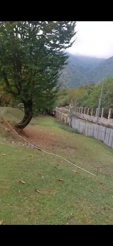 Torpaq sahələrinin satışı: Tikinti — 15