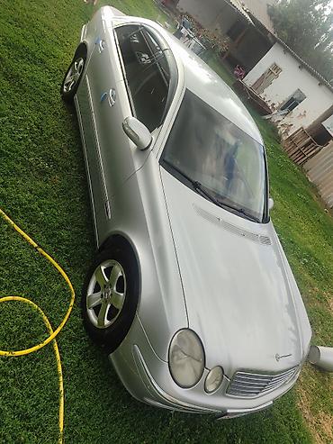 мотор морнинг: Mercedes-Benz E-Class: 2002 г., 2.6 л, Автомат, Бензин, Седан — 8