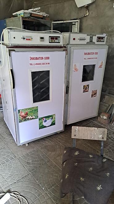 İnkubatorlar: 1100 yumurta, Azərbaycan, Azərbaycan dilində təlimat — 5