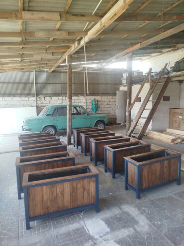 Bitkilər üçün dibçəklər: 🇦🇿Bakı şəhəri üzrə zəmanətli Taxta dipçəklərin topdan və pərakəndə — 13