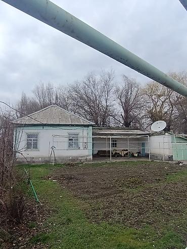 Продажа коттеджей и домов: 🏡 Продаётся дом с участком у озера 📍 с. Ленинское 🔷 Участок — 10,6 — 2