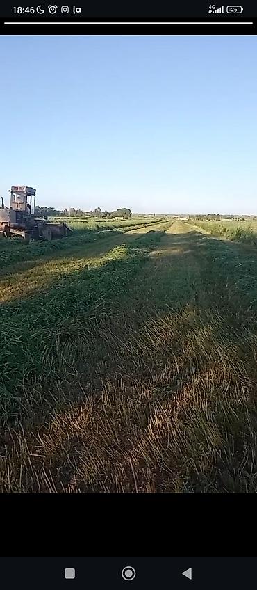 ат башы участок: 150 соток, Для сельского хозяйства, Договор купли-продажи — 3