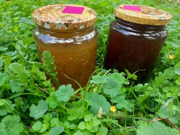 Bal: 100% qarantiya verilir təbii olduğuna! . 100% Təbii Bal zəmanət -da lalafo.az — 13 Bal: 100% qarantiya verilir təbii olduğuna! . 100% Təbii Bal zəmanət — 13