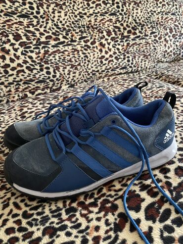 os витамины для роста бишкек: Мужские кроссовки, 36.5, Adidas, Б/у, цвет - Голубой, Самовывоз