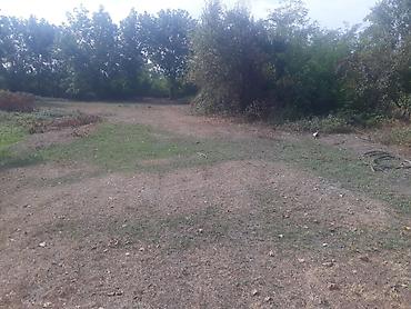 Torpaq sahələrinin satışı: 40 sot, Tikinti, Mülkiyyətçi, Kupça (Çıxarış) — 13