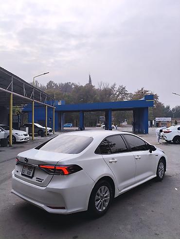 honda corolla: Toyota Corolla: 2019 г., 1.8 л, Вариатор, Гибрид, Седан — 2