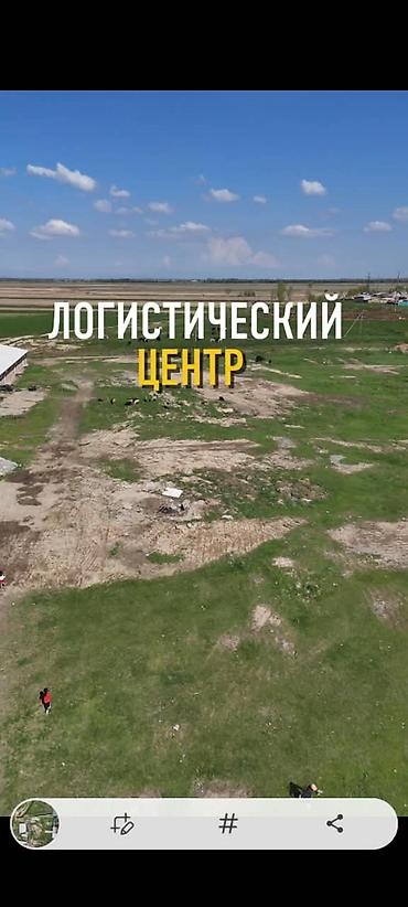 первое: 100 соток, Для строительства, Красная книга, Договор купли-продажи — 5