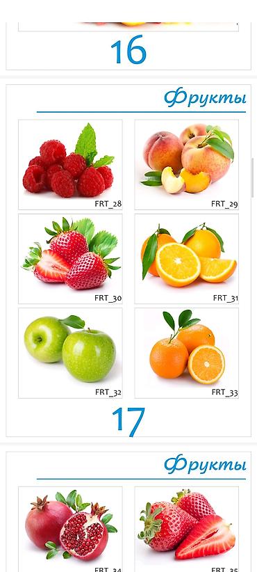 Шаблоны: Каталог орнаментов и розеток для декора - Более 60 вариантов круглых — 26