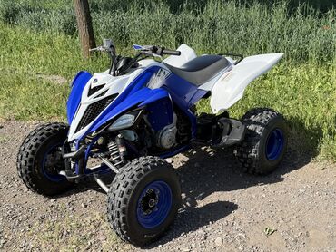 квадроцикл гризли: Квадроцикл Yamaha, Бензин, 700 куб. см, Взрослый