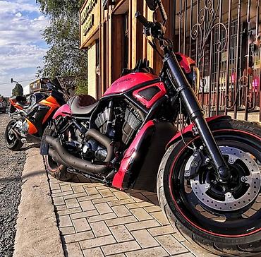 мотоцикл харли: Harley-Davidson V-Rod (VRSCDX) кастом - Мощный V‑образный — 4