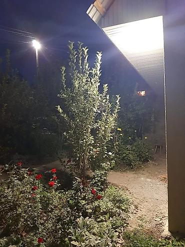 Продажа дач: Меняем благо устроенную дачу ( Бишкек ) - вариант для тех кто хочет — 24