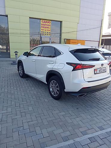 Lexus: Lexus NX: 2020 г., 2 л, Автомат, Бензин, Кроссовер — 5
