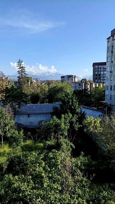 с хоз назначения: 1 комната, 32 м², 104 серия, 4 этаж, Старый ремонт