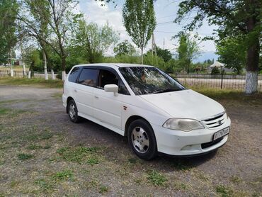 фит на аренду бишкек: Honda Odyssey: 2000 г., 2.3 л, Типтроник, Газ, Минивэн