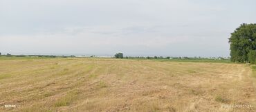 Torpaq sahələrinin satışı: Kənd təsərrüfatı — 5