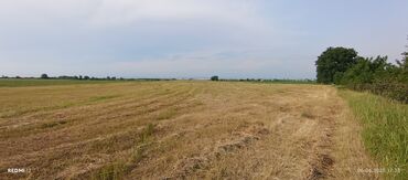 Torpaq sahələrinin satışı: Kənd təsərrüfatı — 3