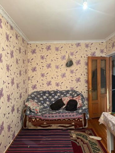 Uzunmüddətli kirayə evlər: 2 otaqlı həyət evi – yaşayış sahəsi mətbəx, zal və bir yataq otağından — 2