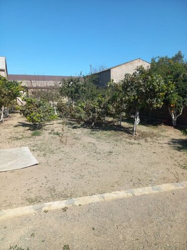 Həyət evləri və villaların satışı: Həyətyanı ev – geniş sahəli, meyvə bağı və tam infrastrukturlu - — 2