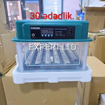 Kənd təssərüfatı avadanlığı: Çin, Tam avtomat, Bütün növ quşlar üçün, Zəmanət ilə — 7