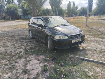 Honda: Honda Odyssey: 2000 г., 2.3 л, Автомат, Газ, Минивэн