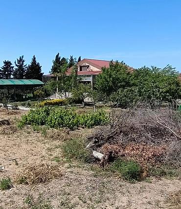 2 ci alatava: Digah, 220 kv. m, 7 otaqlı, Hovuzsuz, İnternet, Artezian quyusu, Telefon — 1