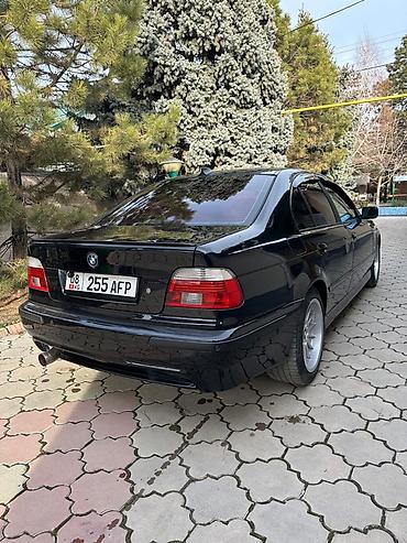 BMW: BMW 5 series: 2003 г., 2.5 л, Автомат, Бензин, Седан — 7