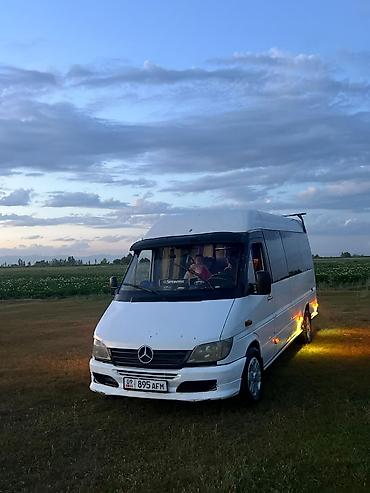 Mercedes-Benz Спринтер: 2003 г., 2.2 л, Кол менен иштөөчү, Дизель, Бус — 6