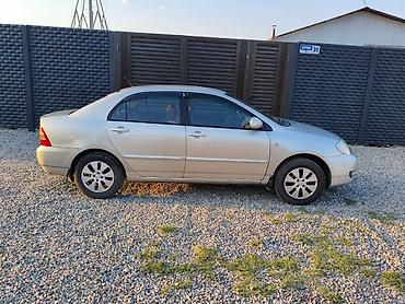 coroll: Toyota Corolla: 2005 г., 1.6 л, Автомат, Бензин, Седан — 4