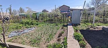 Продажа дач: Продается Дача 5 соток с двухэтажным домом 46 квадратов летней — 13