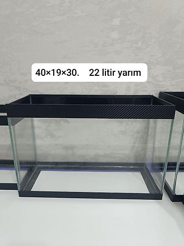 afcarka qara: Akvaryum şüşə akvariumlar – 3 fərqli ölçüdə - 44×18×29 sm – 22,5 litr — 3