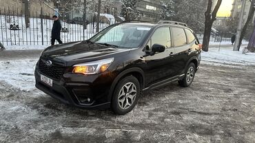 Subaru: Subaru Forester: 2019 г., 2 л, Вариатор, Бензин, Кроссовер