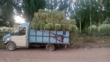 накладка на бампер: Легкий грузовик, Ford, Стандарт
