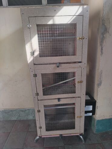 кошку в добрые руки: 1metr 80sant uzunluqu 55sant eni yaxşı vezyetdedi qusdari legveledim