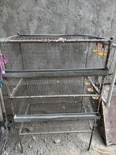 Товары и оборудование для с/х животных: Продается клетка для перепел — 7