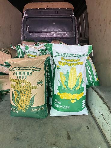 Кормовые растения: Семена кормовых растений: Эспарцет, Бесплатная доставка — 9