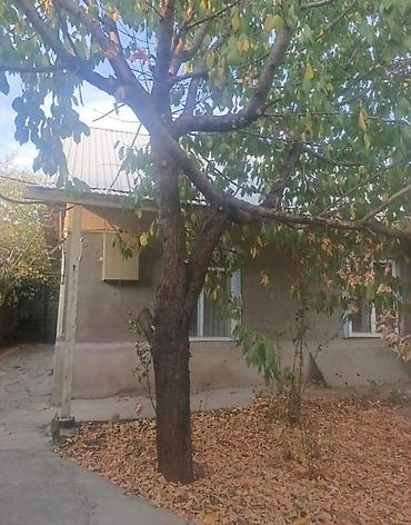 купить дом нижний аларча: 3 комнаты, 80 м², 4 соток, Аламедин (ГЭС-2) — 6