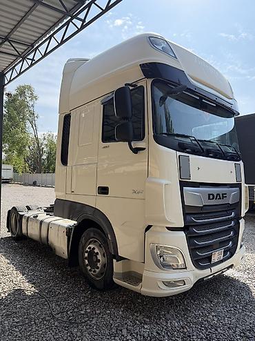 daf 2019: Тягач, DAF, 2019 г., Без прицепа — 2