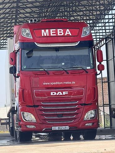 авто фрион: Тягач, DAF, Холодильник, рефрижератор — 4