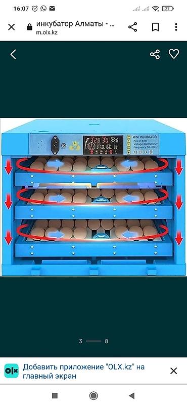 Товары и оборудование для с/х животных: Инкубаторы китайский сатылат жаңы полный автомат свет очсо 12 вольт — 2