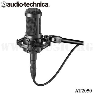 Наушники: Конденсаторный микрофон Audio-Technica AT2050 AT2050 - универсальный