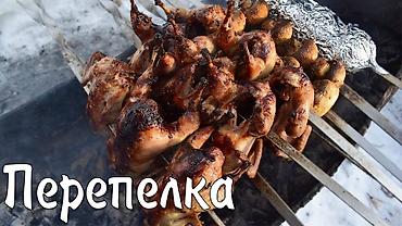 пони конь: Перепела, вес 250 -300 грамм, мясистые тушки, молодняк. Перепёлок — 1